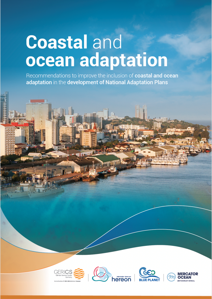 Louis Celliers_Coastal and ocean adaptation NAPs