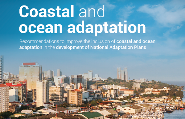 Setcard-Louis Celliers_Coastal and ocean adaptation_NAPs